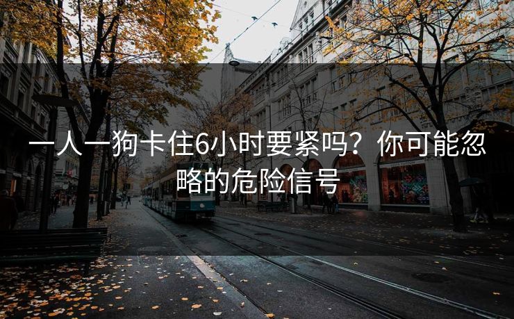 一人一狗卡住6小时要紧吗？你可能忽略的危险信号