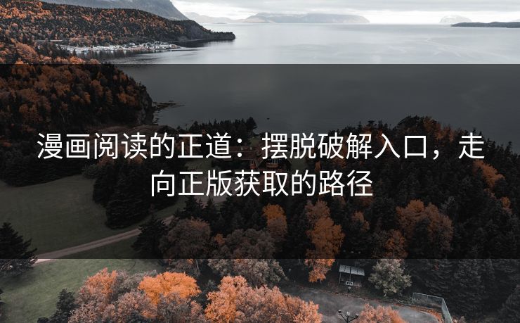 漫画阅读的正道：摆脱破解入口，走向正版获取的路径