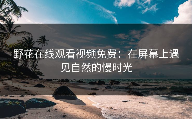 野花在线观看视频免费：在屏幕上遇见自然的慢时光