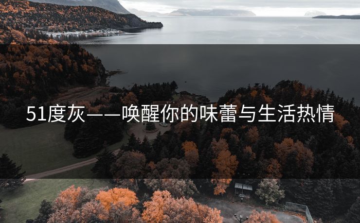 51度灰——唤醒你的味蕾与生活热情 51度灰——唤醒你的味蕾与生活热情
