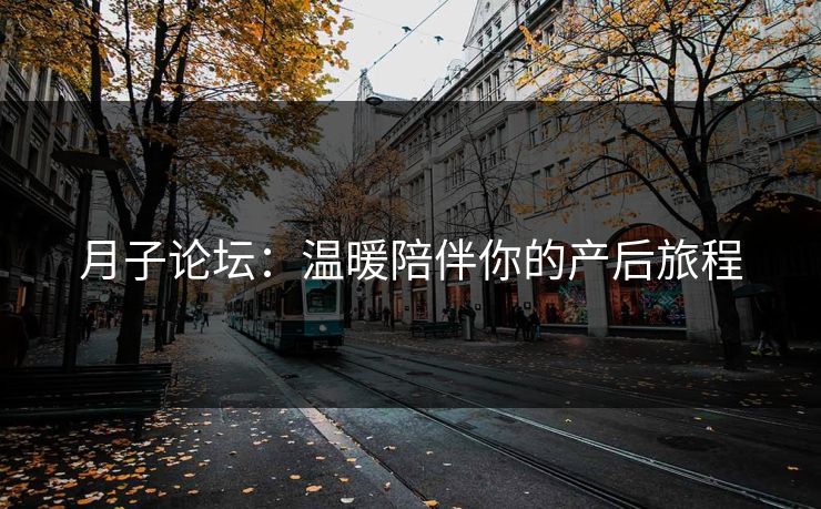 月子论坛:温暖陪伴你的产后旅程 月子论坛:温暖陪伴你的产后旅程