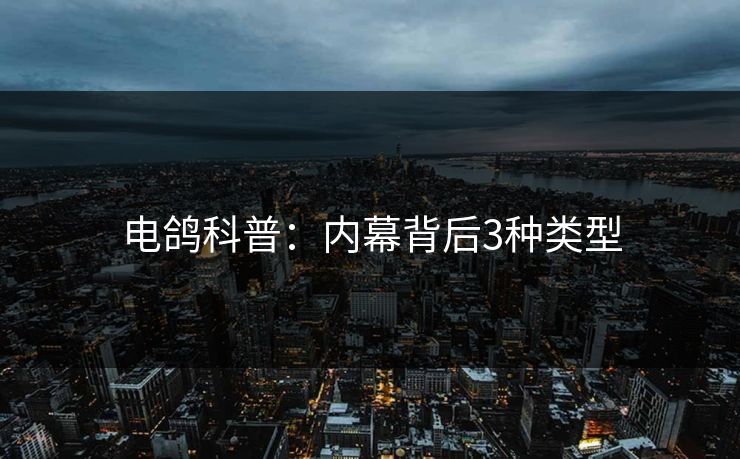 电鸽科普：内幕背后3种类型