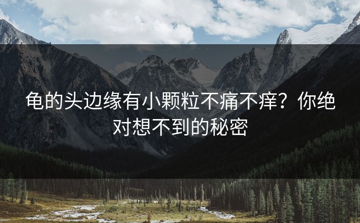 龟的头边缘有小颗粒不痛不痒?你绝对想不到的秘密 龟的头边缘有小颗粒不痛不痒?你绝对想不到的秘密